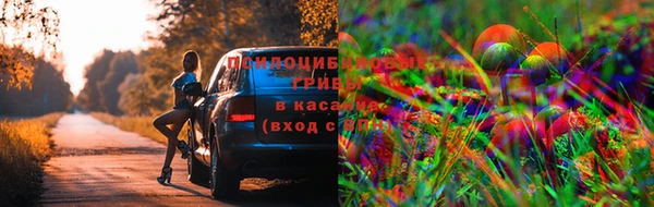 герыч Богородицк
