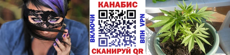Купить где  Малмыж  Бошки марихуана OG Kush 